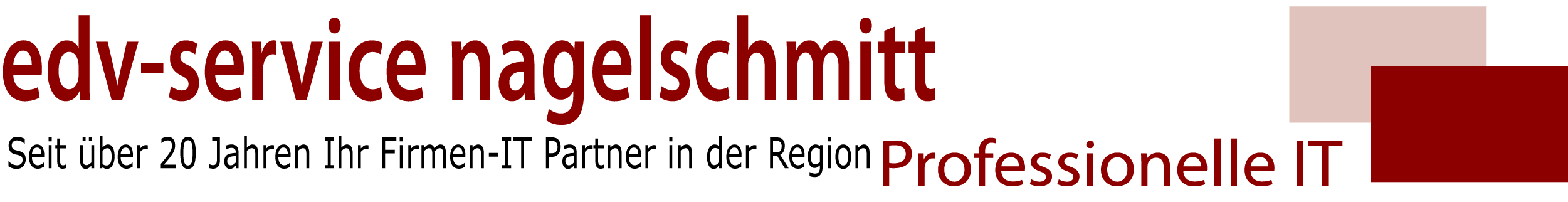 Logo EDV-Service Nagelschmitt, Professionelle IT